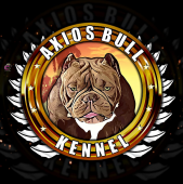 Axios Bull Kennel